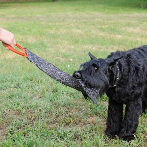 Тряпка из french linen для дрессировки ризеншнауцера «Tug game»